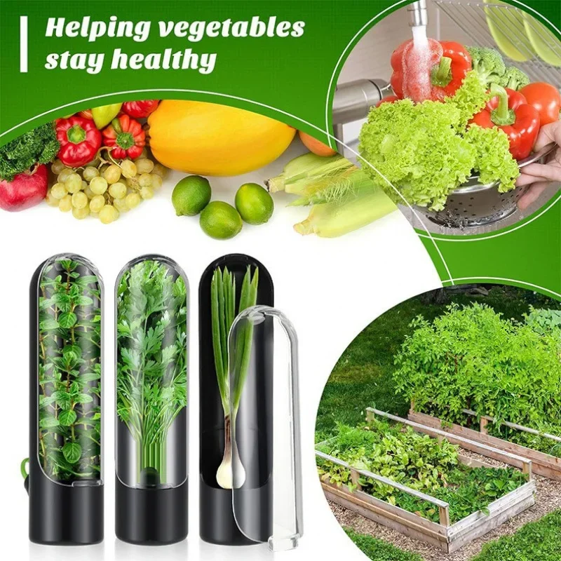 Fresh Herb Storage Contain