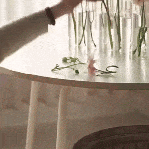 Hinged Flower Vase Clear GlassTestTube