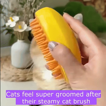 soft kitty steamy cat brush
